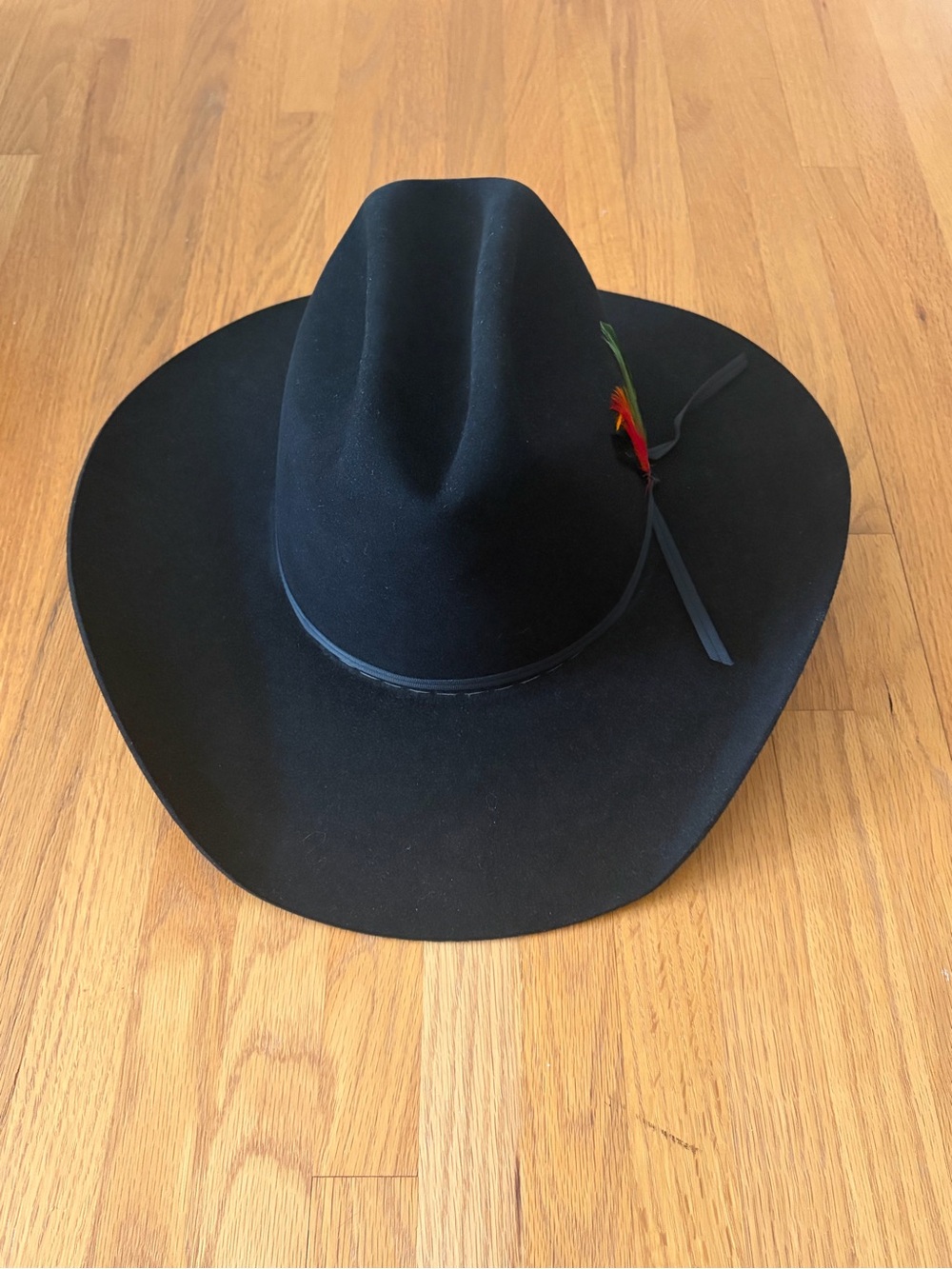 Resistol Stallion Hat with Feather Accent